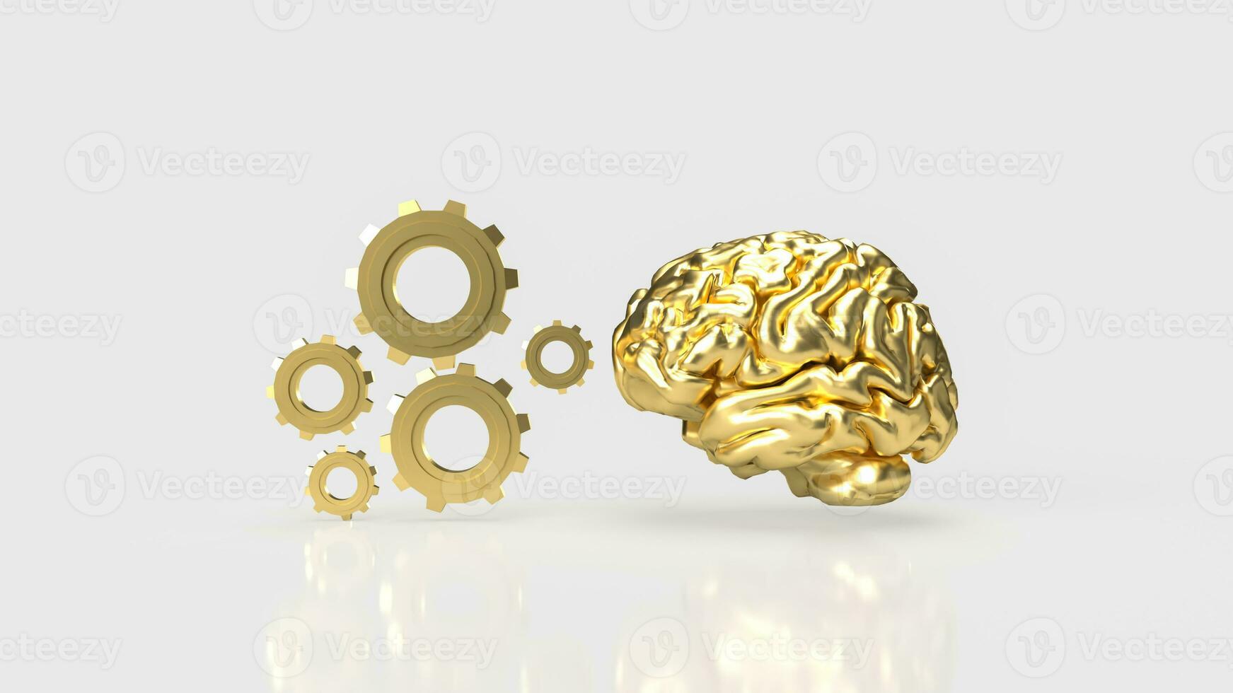 The Brain and gears on white background 3d rendering photo