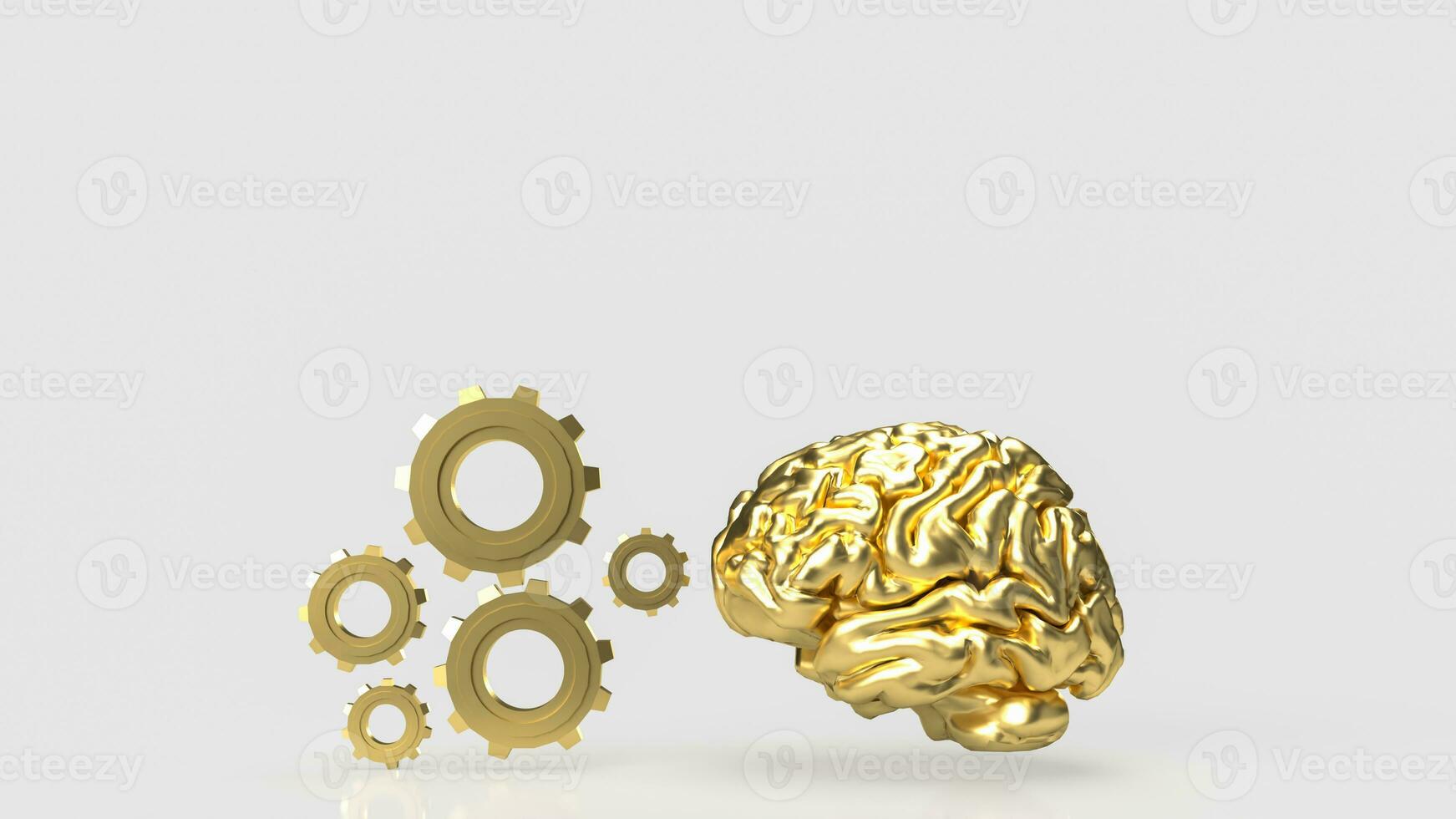 The Brain and gears on white background 3d rendering photo