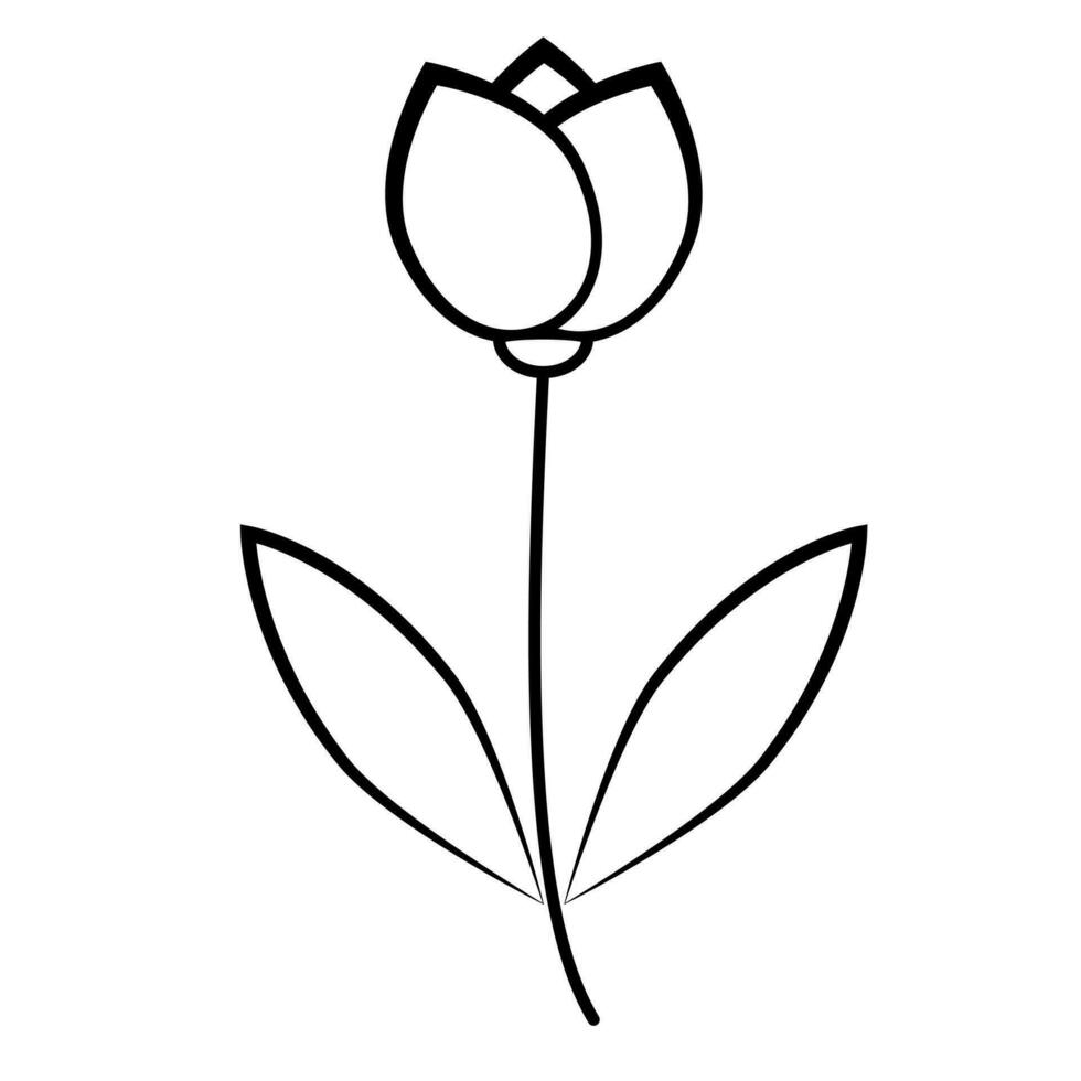 Tulip flower line icon. Tulip blooms icon  on white background. vector