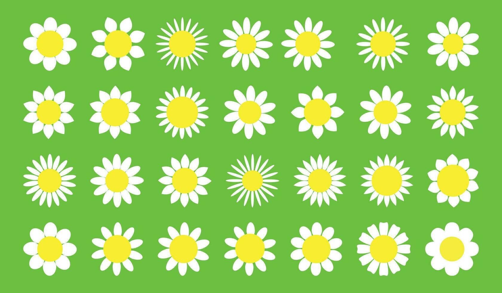 Daisy chamomile icon. Camomile super big set. Flat style design. Cute white flower head plant nature collection. Decoration element. vector