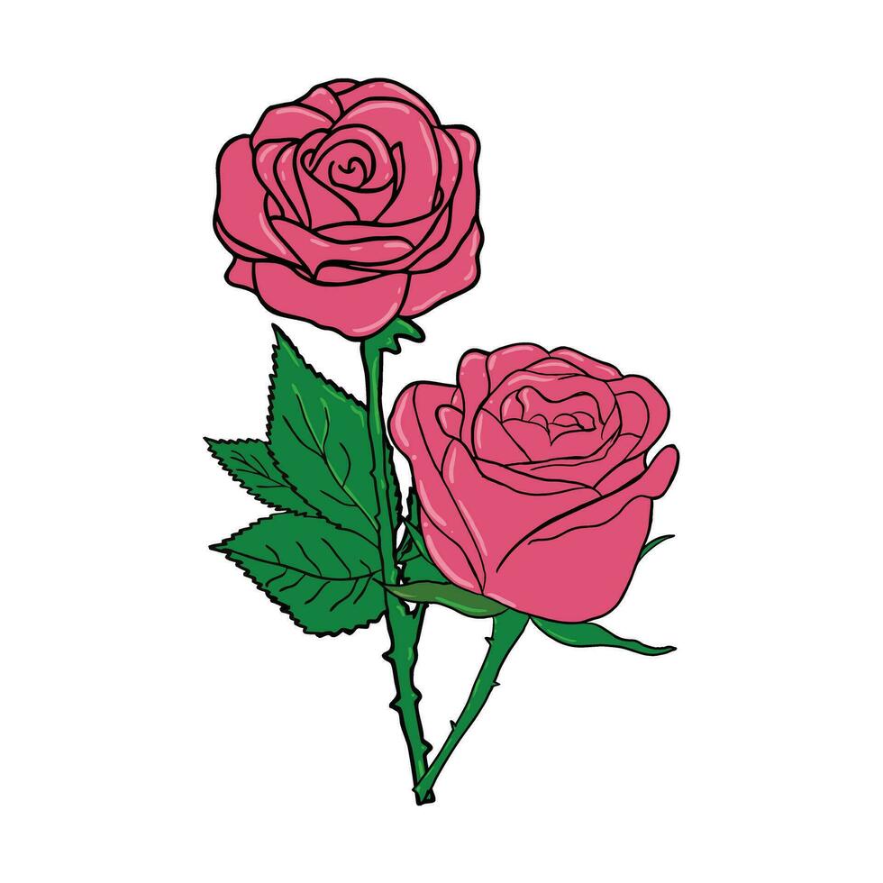 Rose flower vector illustrations