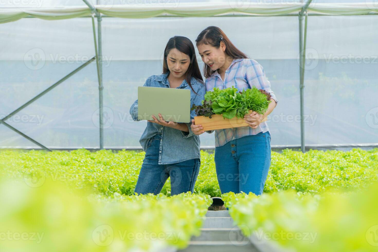 Asian woman farmer holding a vegetable basket of fresh vegetable salad on an organic farm and using a laptop to check customer order. Concept of agriculture organic for health, and Small business. photo