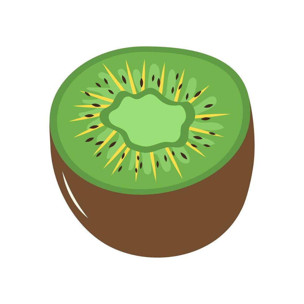 Fresh half kiwi. Juicy exotic fruit. Cartoon flat illustration isolated on white background. vector