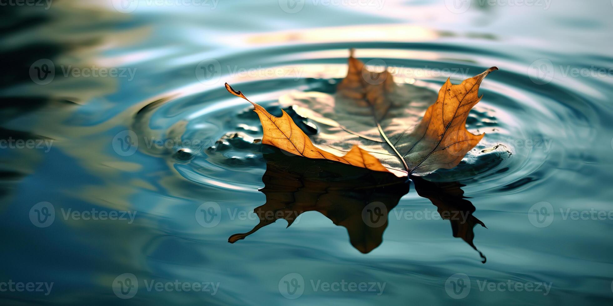. . Nature outdoor wild leaf floating on blue water sea surface. Adventure plant fall vibe. Graphic Art photo