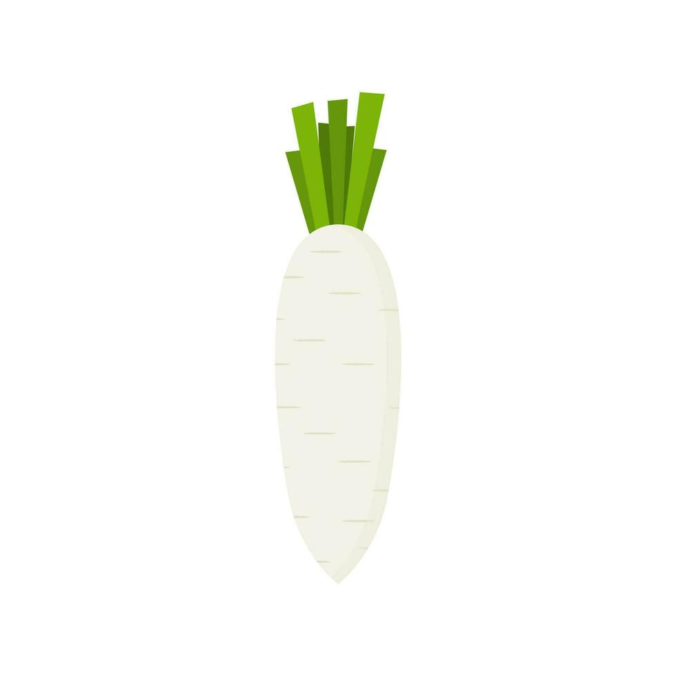 white radish flat design vector illustration