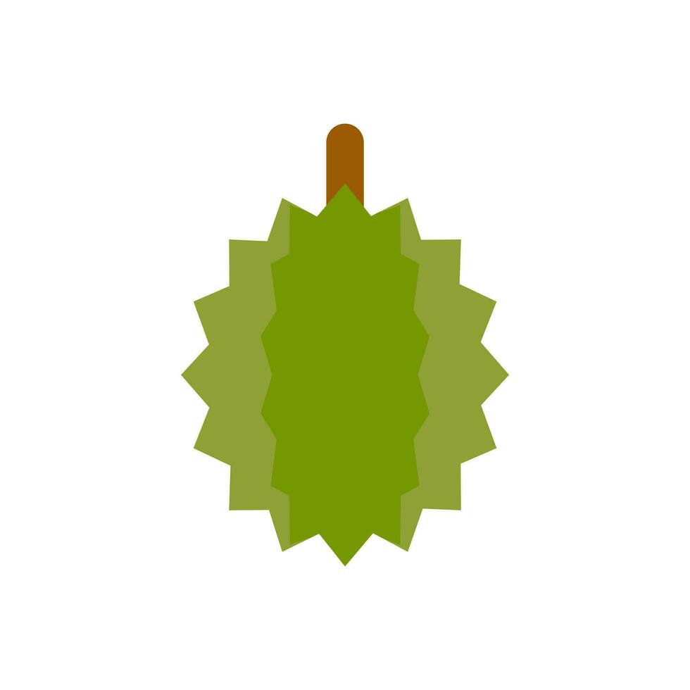 durian flat design vector illustration. Summer tropical fruits for healthy lifestyle. Isolated icon. Fruit for juice and ingredients for healthy cooking, design vegetarian menu