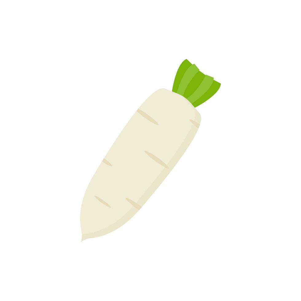 white radish flat design vector illustration