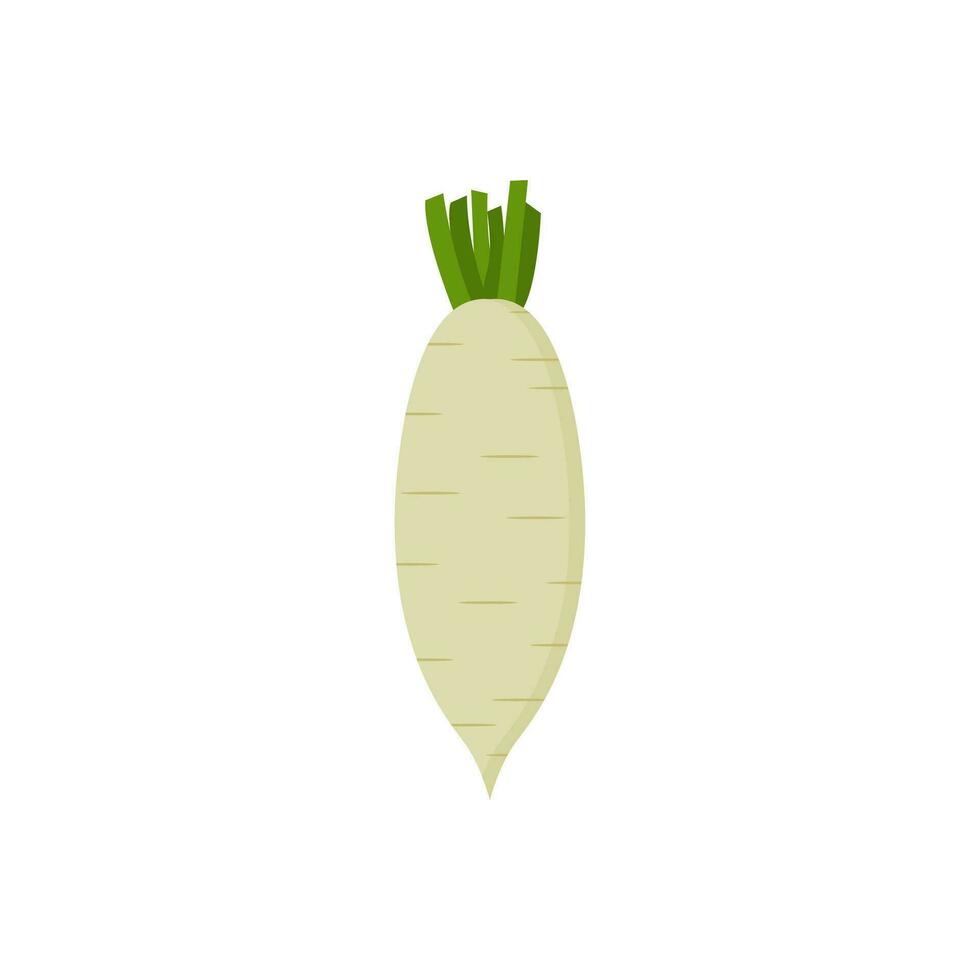 white radish flat design vector illustration