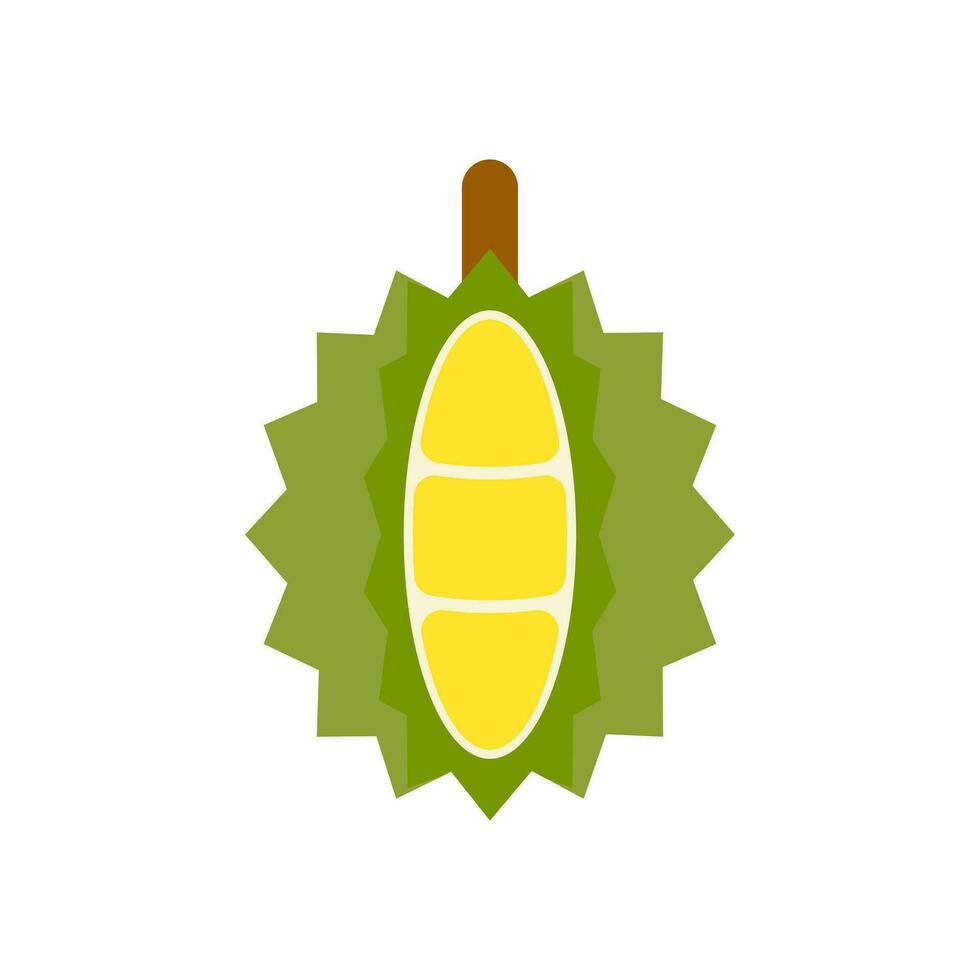 durian flat design vector illustration. Summer tropical fruits for healthy lifestyle. Isolated icon. Fruit for juice and ingredients for healthy cooking, design vegetarian menu