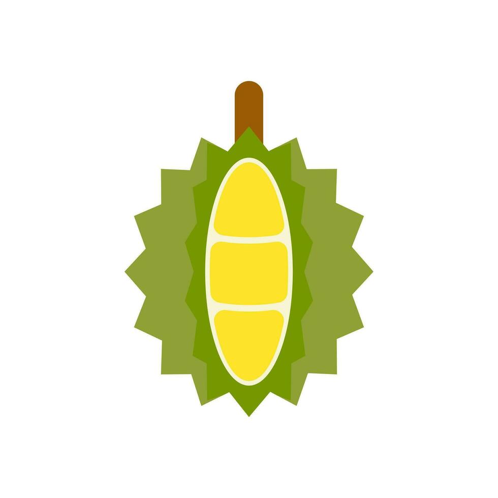 durian flat design vector illustration. Summer tropical fruits for healthy lifestyle. Isolated icon. Fruit for juice and ingredients for healthy cooking, design vegetarian menu