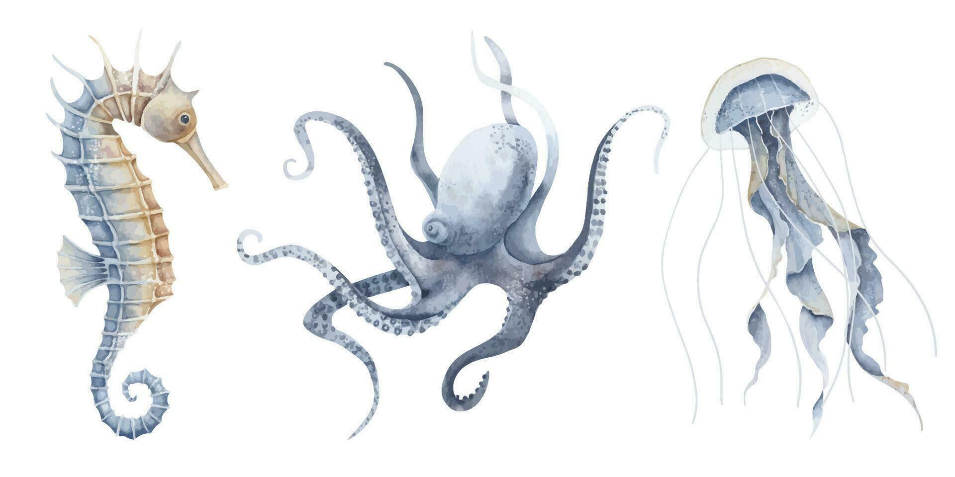 Sea animals. Watercolor illustration with Seahorse, Jellyfish and Octopus on isolated background. Drawing of Marine life with sea horse in pastel blue and orange colors. Sketch of ocean wild fauna vector