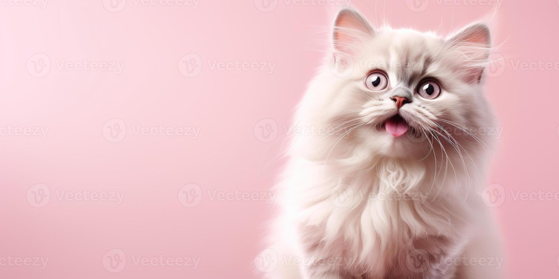 ai generado. ai generativo. cara frontal linda gracioso cate retrato en rosado antecedentes. contento animal mascota promoción onda. gráfico Arte foto