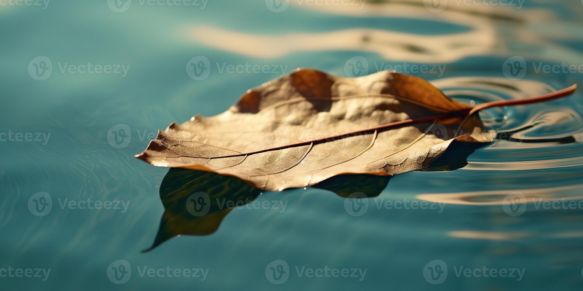 . . Nature outdoor wild leaf floating on blue water sea surface. Adventure plant fall vibe. Graphic Art photo