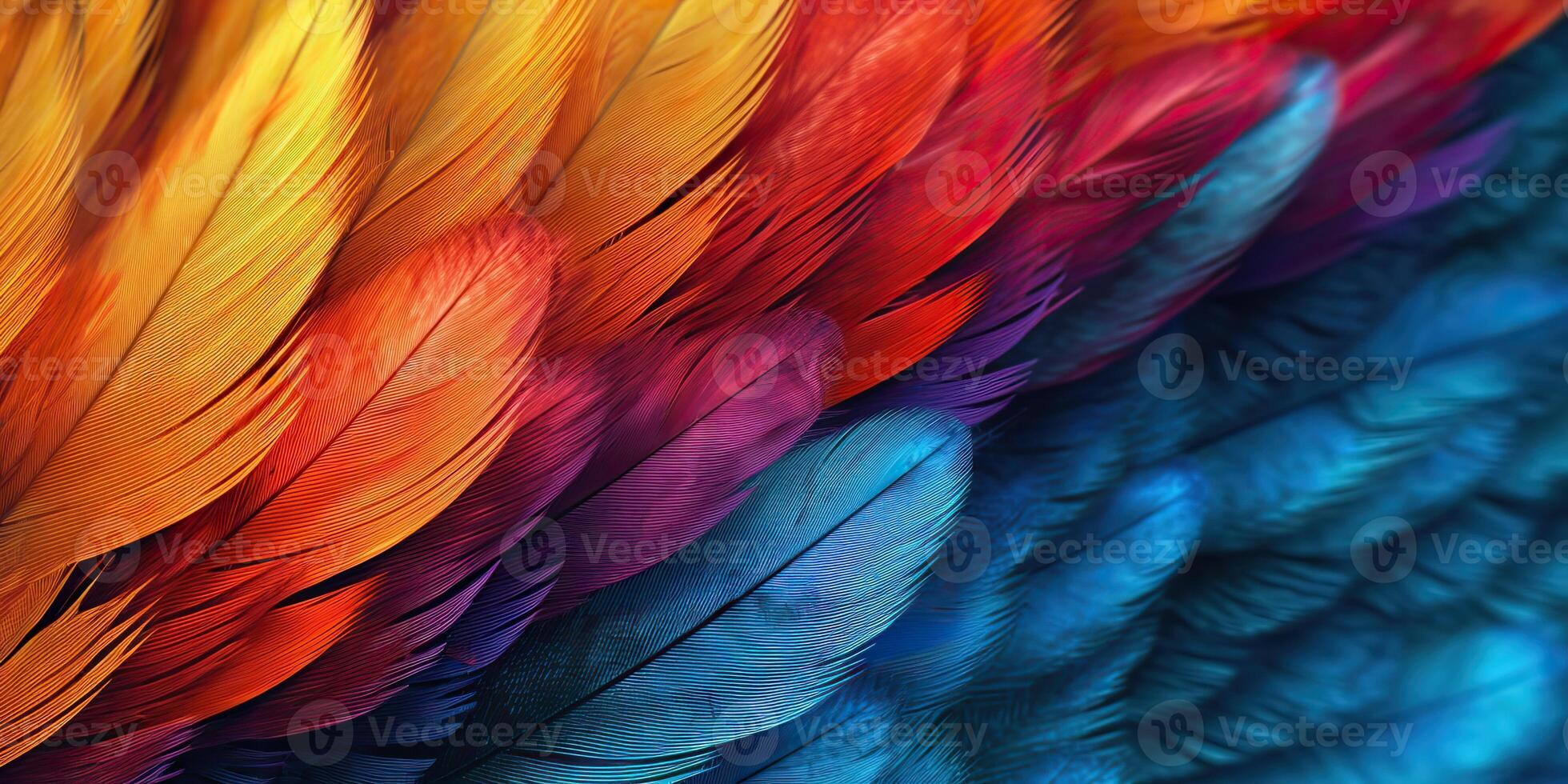 . . Vibrant colorful pattern background texture of color feathers decoration. Graphic Art photo
