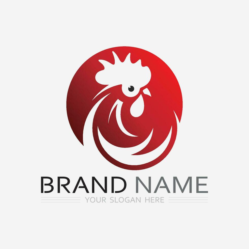 chicken logo  rooster and hen logo for poultry farming  animal logo vector illustration design