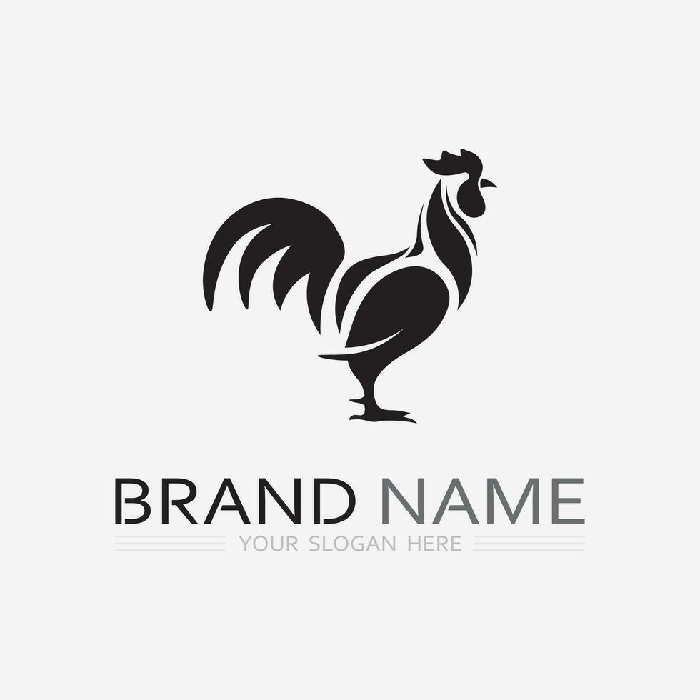 chicken logo  rooster and hen logo for poultry farming  animal logo vector illustration design