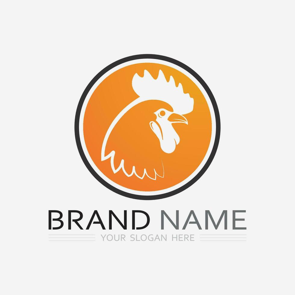 chicken logo  rooster and hen logo for poultry farming  animal logo vector illustration design