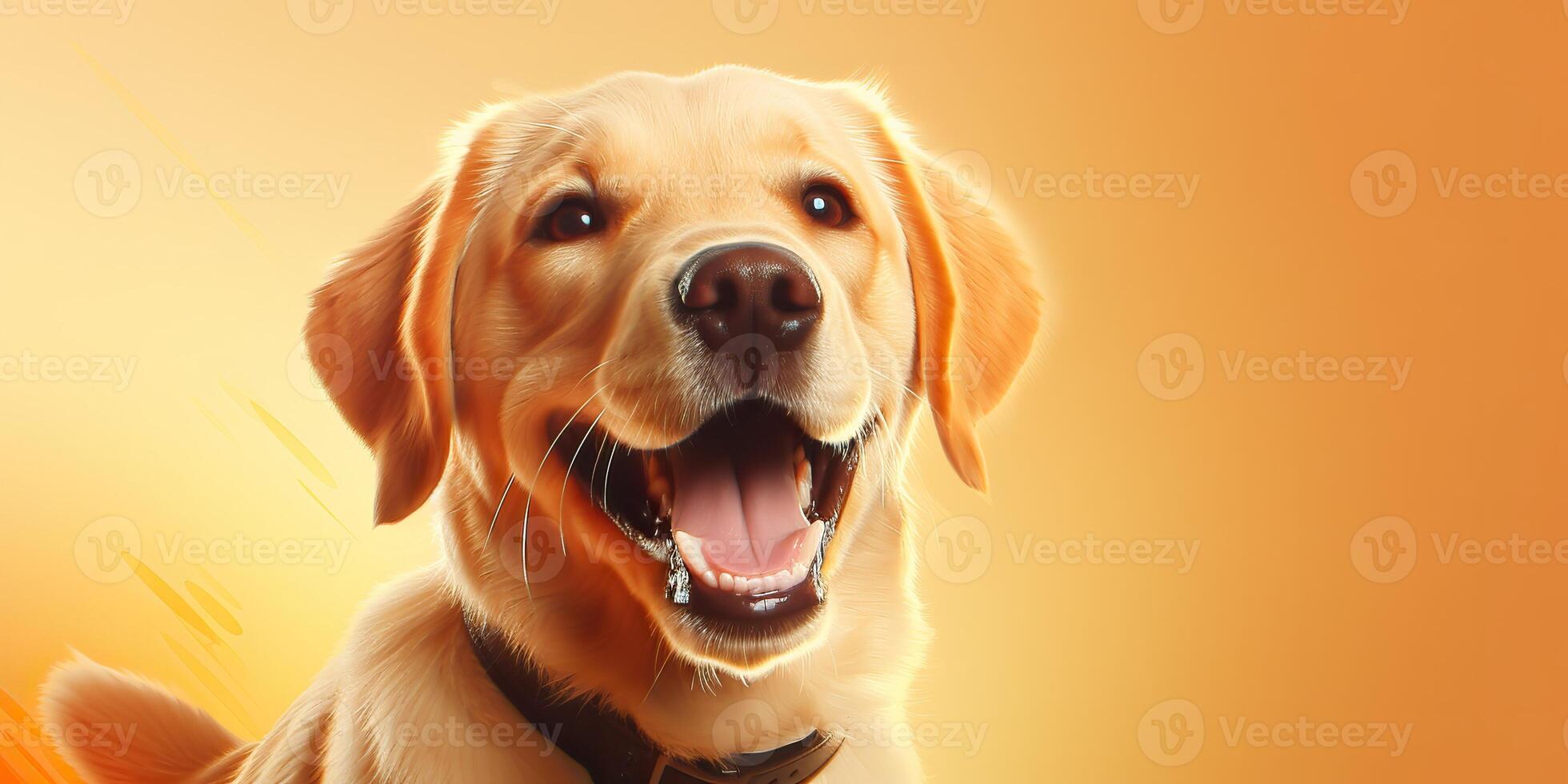 . . Happy cite smile dog frontal face frontal portrait. Animal pet food promotion marketing. Graphic Art photo