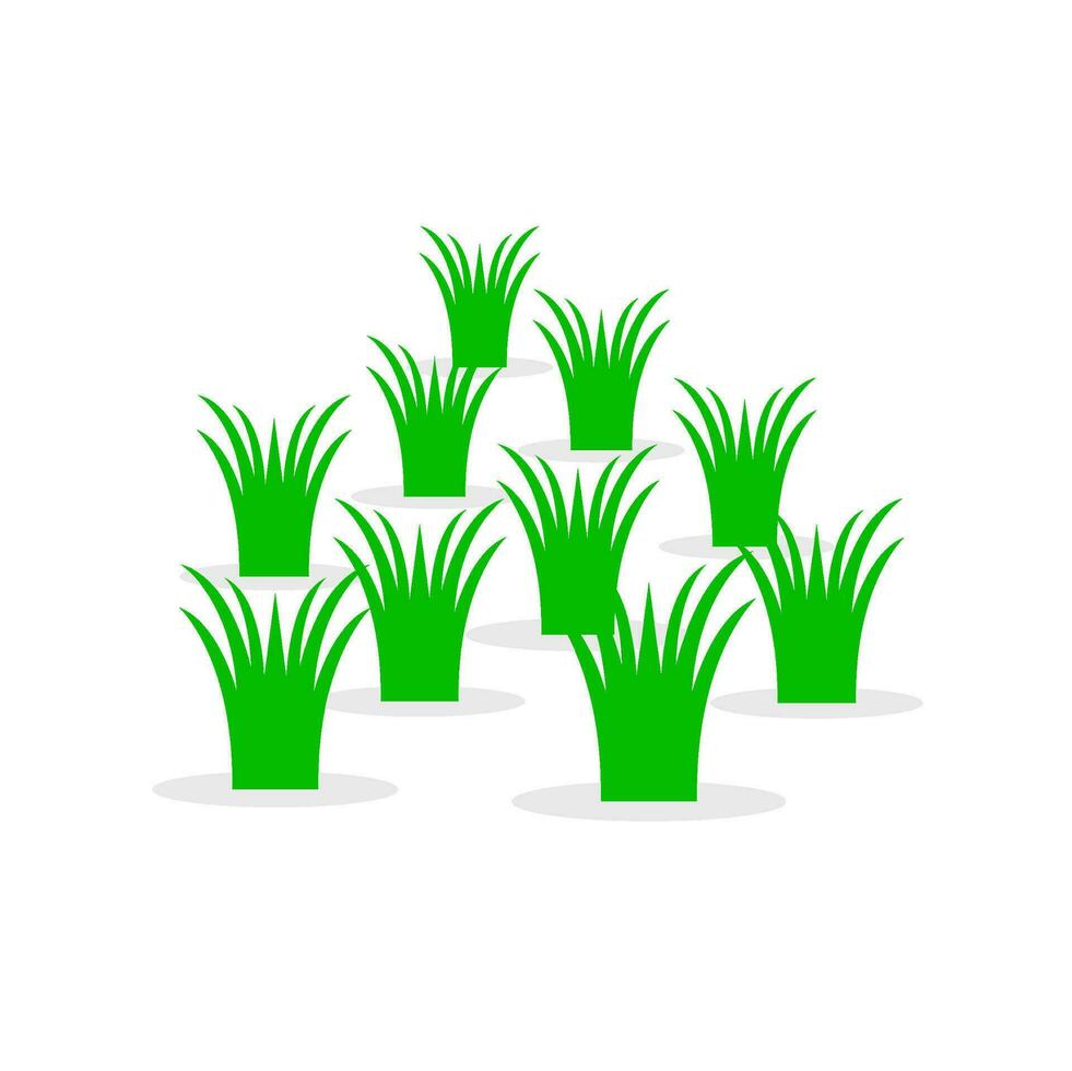 Rice flat design. Rice paddy. Rice Field. vector