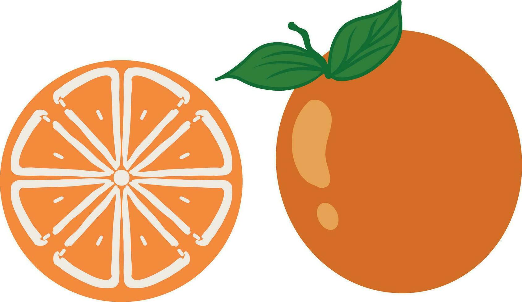 Orange fruit slice and pattern vector illustration