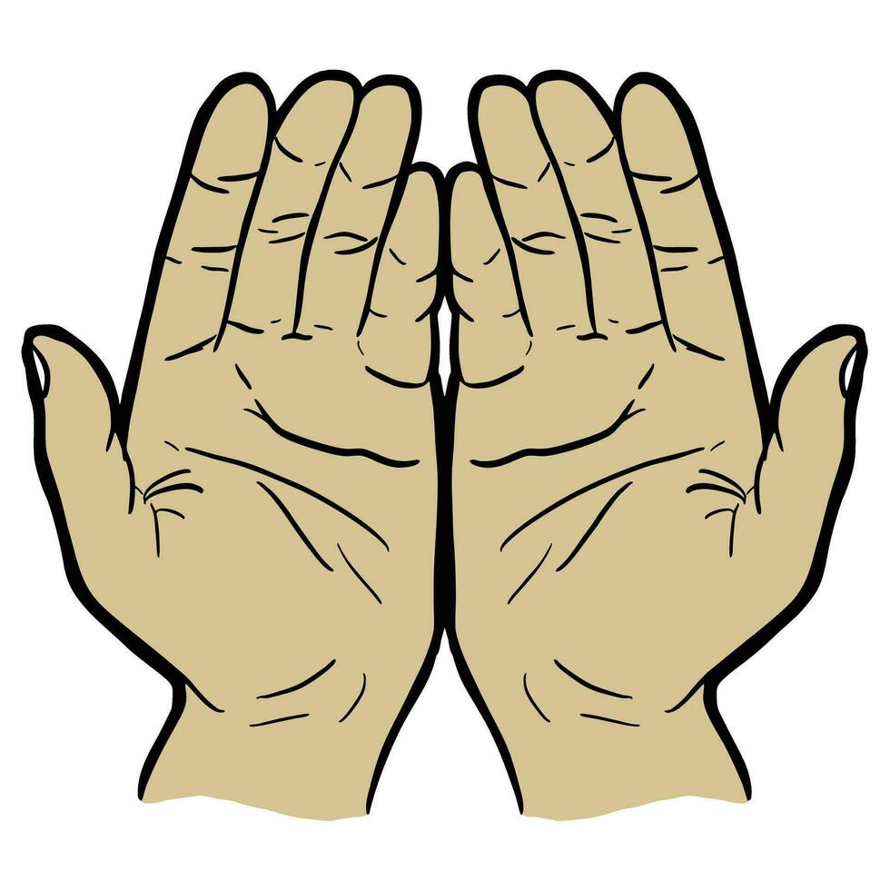 Hand anatomy vector