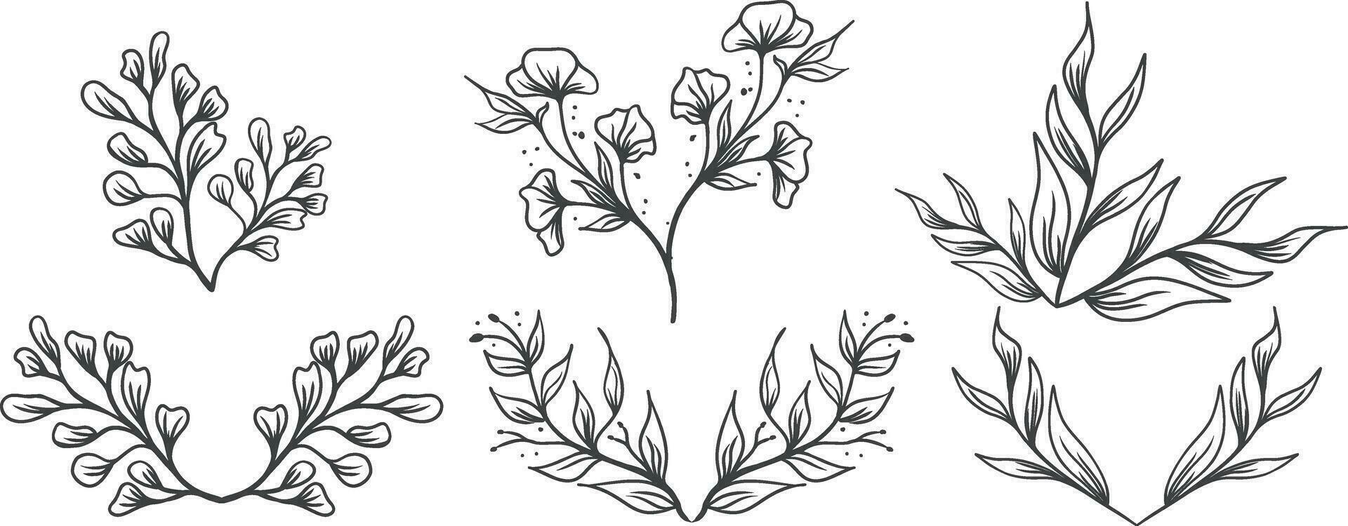 Set of floral elements, flower, leaves. Hand drawn sketch pencil style vector