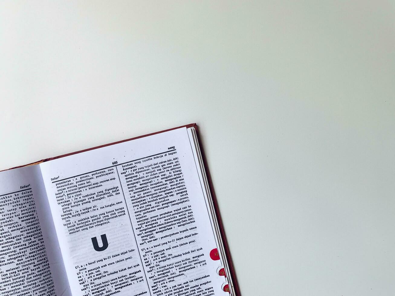 Yogyakarta, Indonesia, 26 Jan 2023 - A book full of Indonesian vocabulary, open on a white table. photo