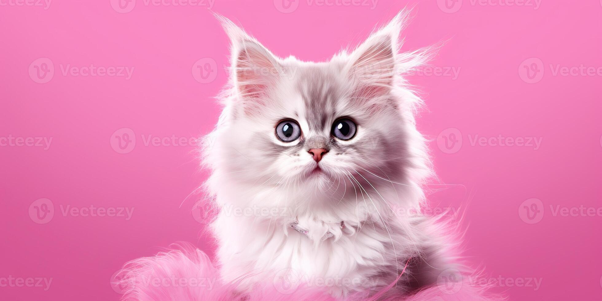 . . face frontal cute funny cate portrait on pink background. Happy animal pet promotion vibe. Graphic Art photo