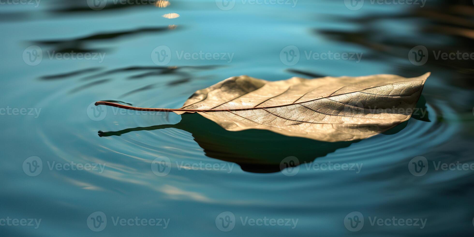. . Nature outdoor wild leaf floating on blue water sea surface. Adventure plant fall vibe. Graphic Art photo
