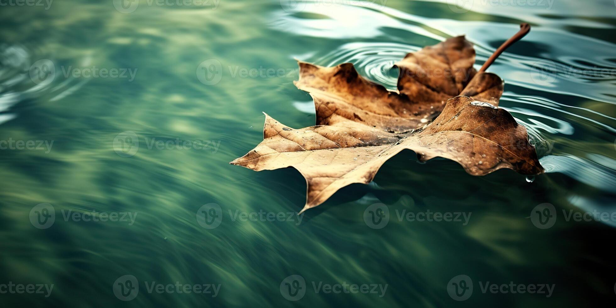 . . Nature outdoor wild leaf floating on blue water sea surface. Adventure plant fall vibe. Graphic Art photo