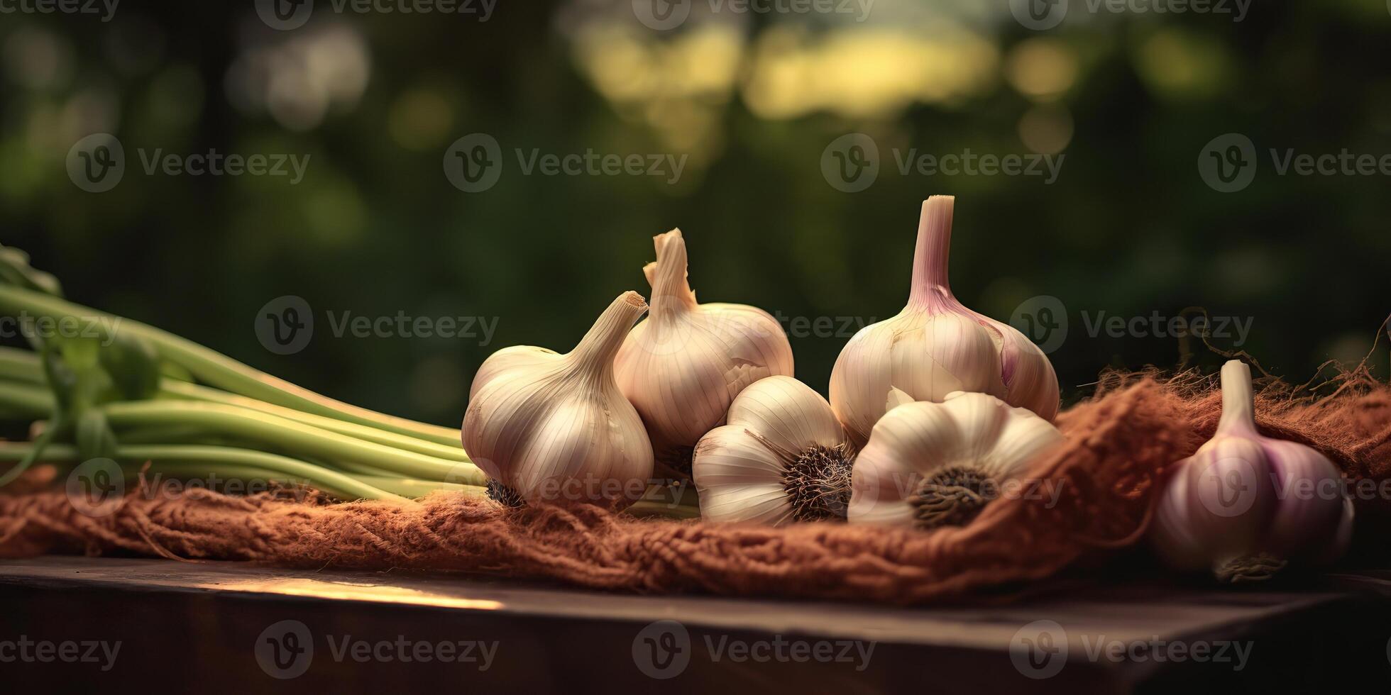 . . Fresh dry eco organic vegetable garlic. Healthy farm harvest Graphic Art photo