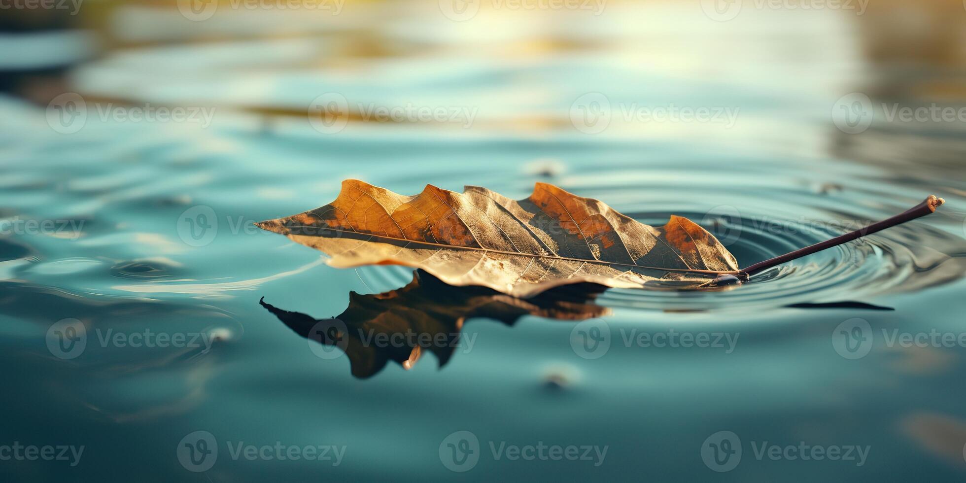 . . Nature outdoor wild leaf floating on blue water sea surface. Adventure plant fall vibe. Graphic Art photo