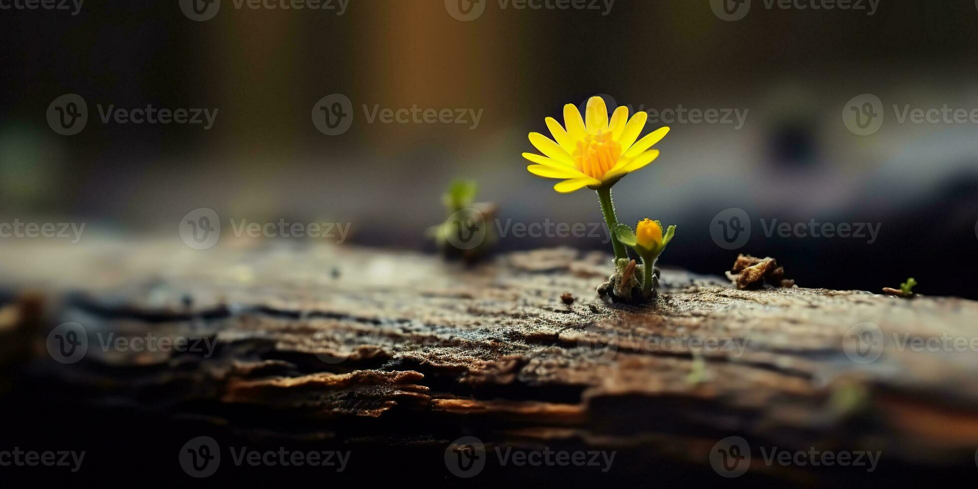 AI Generated. AI Generative. Beautiful yellow flower growing from wooden brick block table. Floral power strong nature outdoor vibe. Graphic Art photo