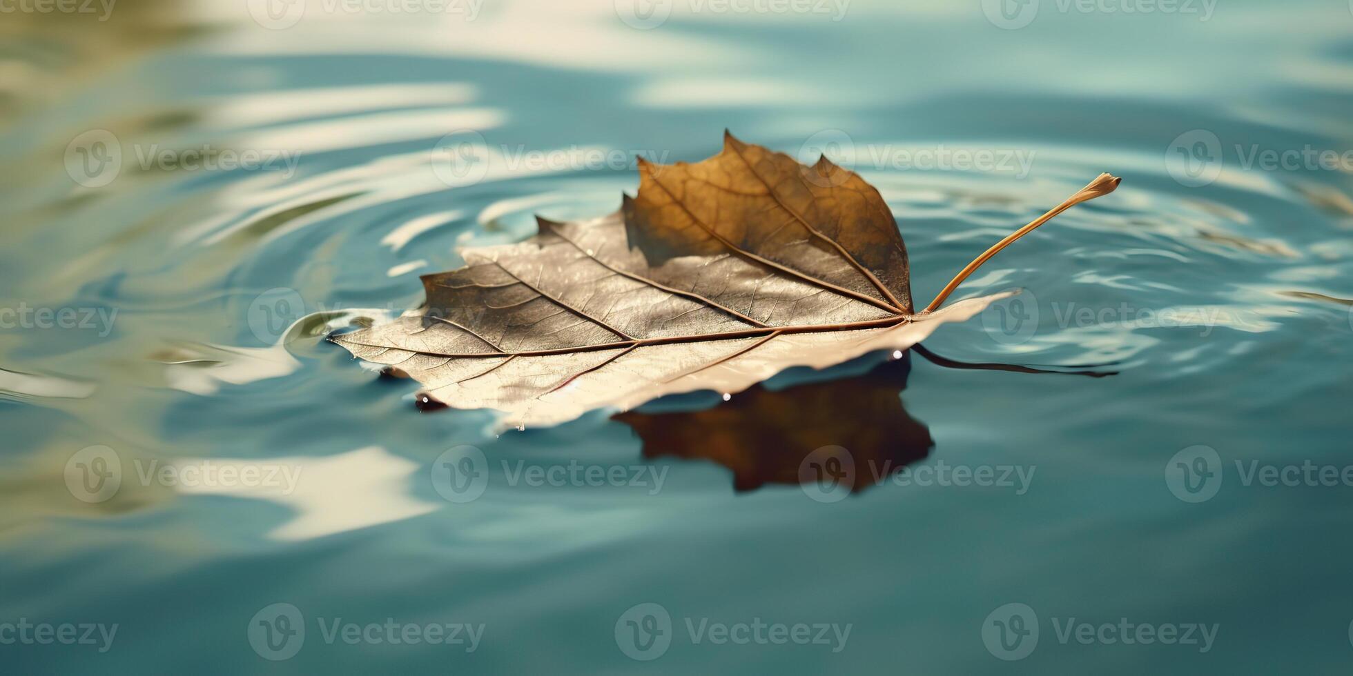 . . Nature outdoor wild leaf floating on blue water sea surface. Adventure plant fall vibe. Graphic Art photo