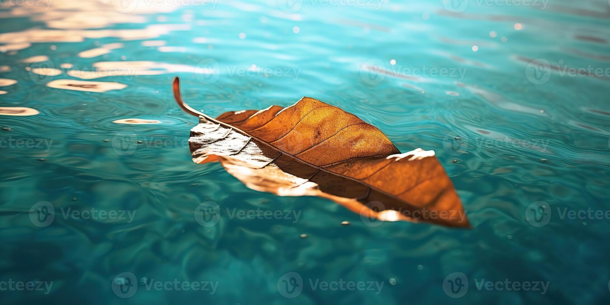. . Nature outdoor wild leaf floating on blue water sea surface. Adventure plant fall vibe. Graphic Art photo