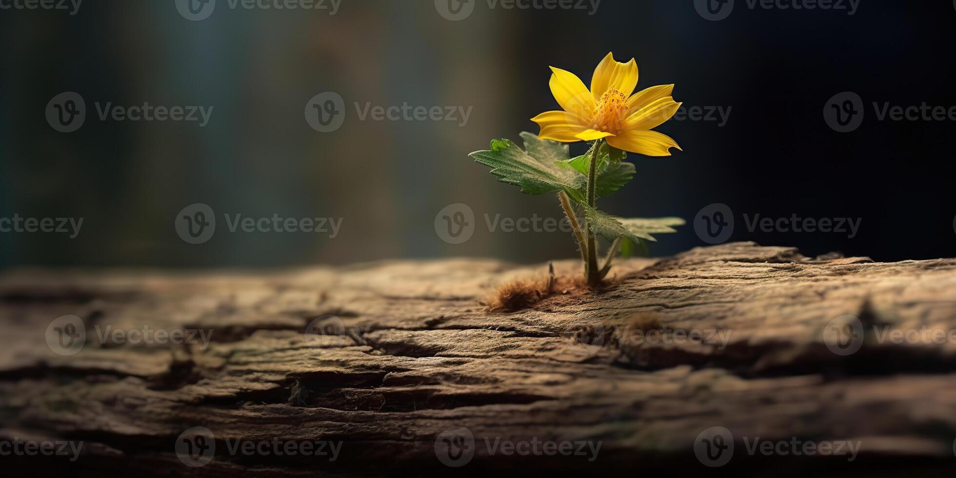 AI Generated. AI Generative. Beautiful yellow flower growing from wooden brick block table. Floral power strong nature outdoor vibe. Graphic Art photo