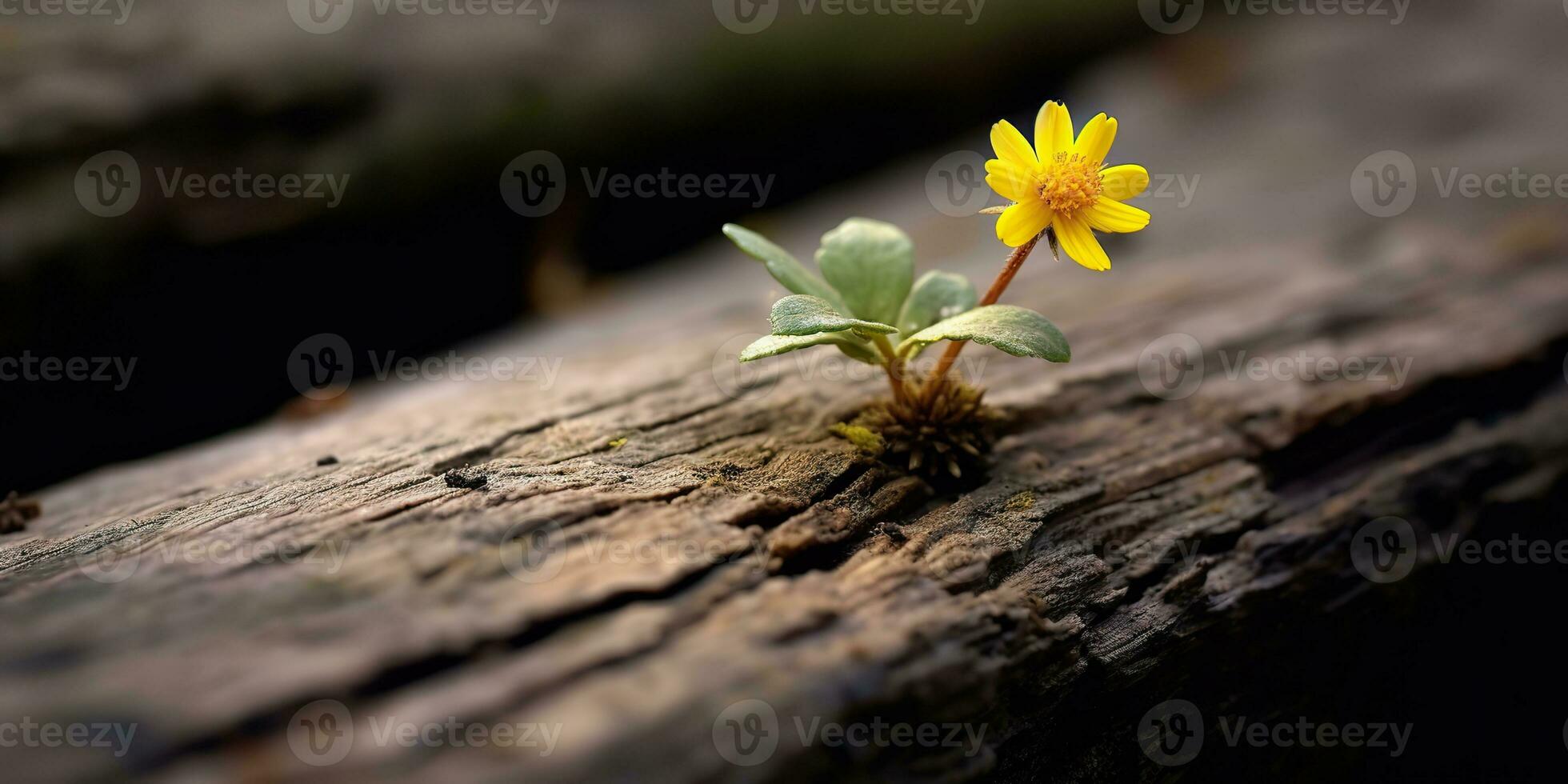 AI Generated. AI Generative. Beautiful yellow flower growing from wooden brick block table. Floral power strong nature outdoor vibe. Graphic Art photo