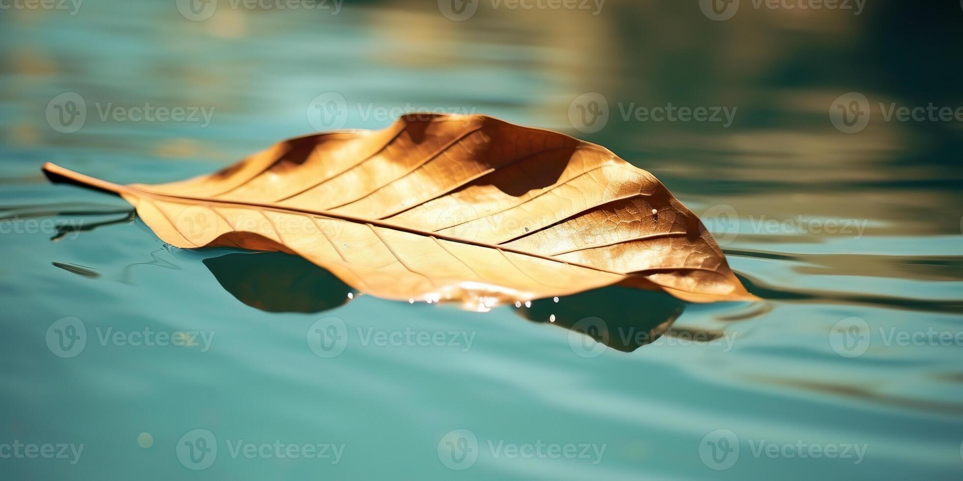 . . Nature outdoor wild leaf floating on blue water sea surface. Adventure plant fall vibe. Graphic Art photo