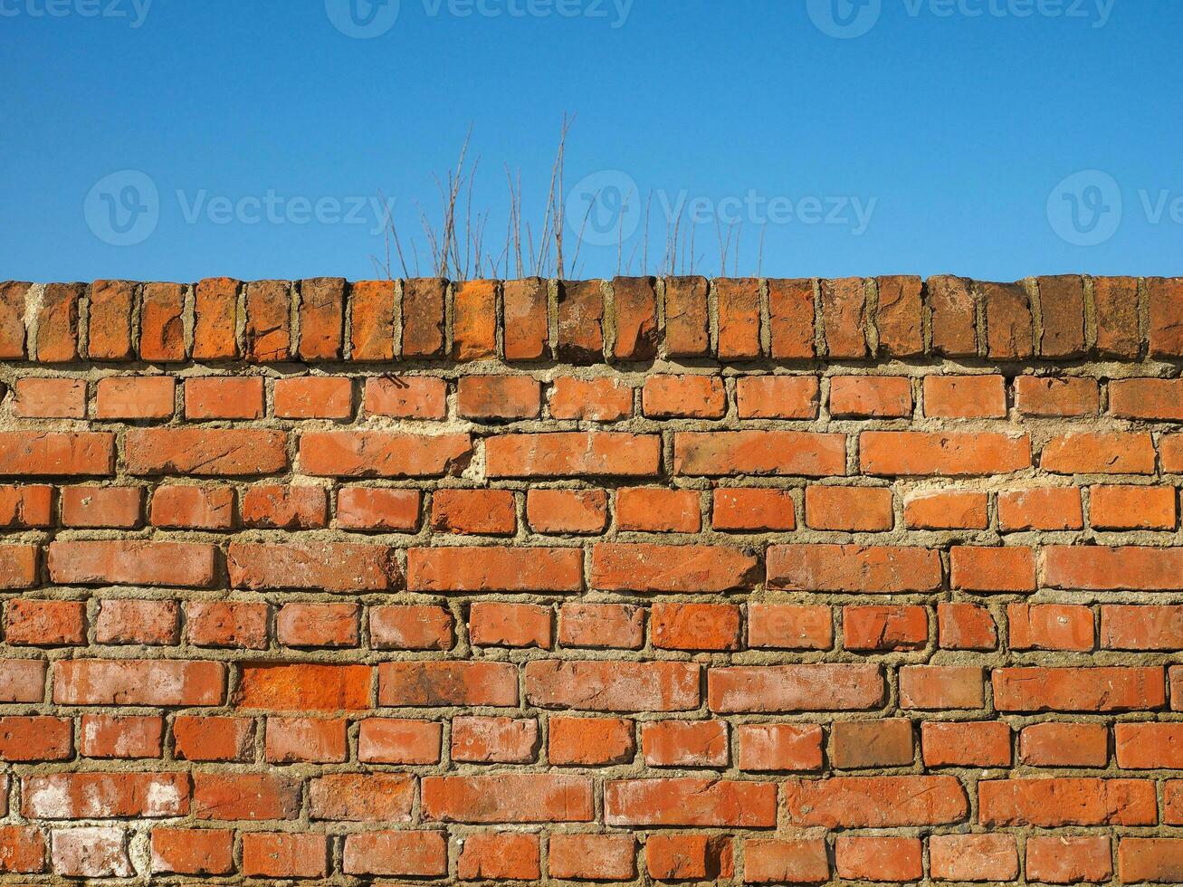 industrial style red brick wall background photo