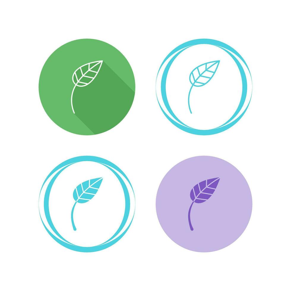 Leaf Vector Icon