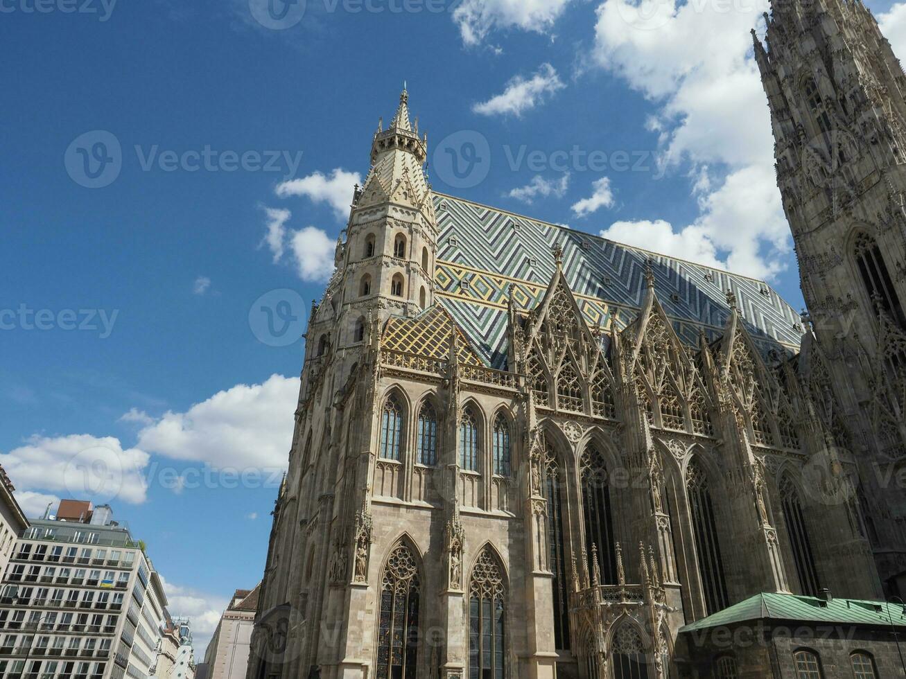 catedral de san esteban en viena foto