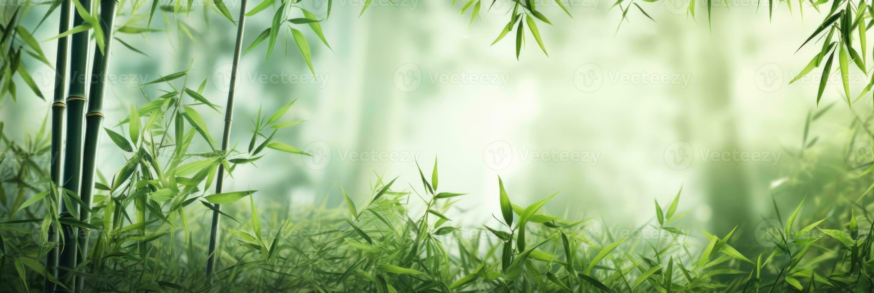 Bamboos, green trees, bamboo, in the style of blurred imagery photo