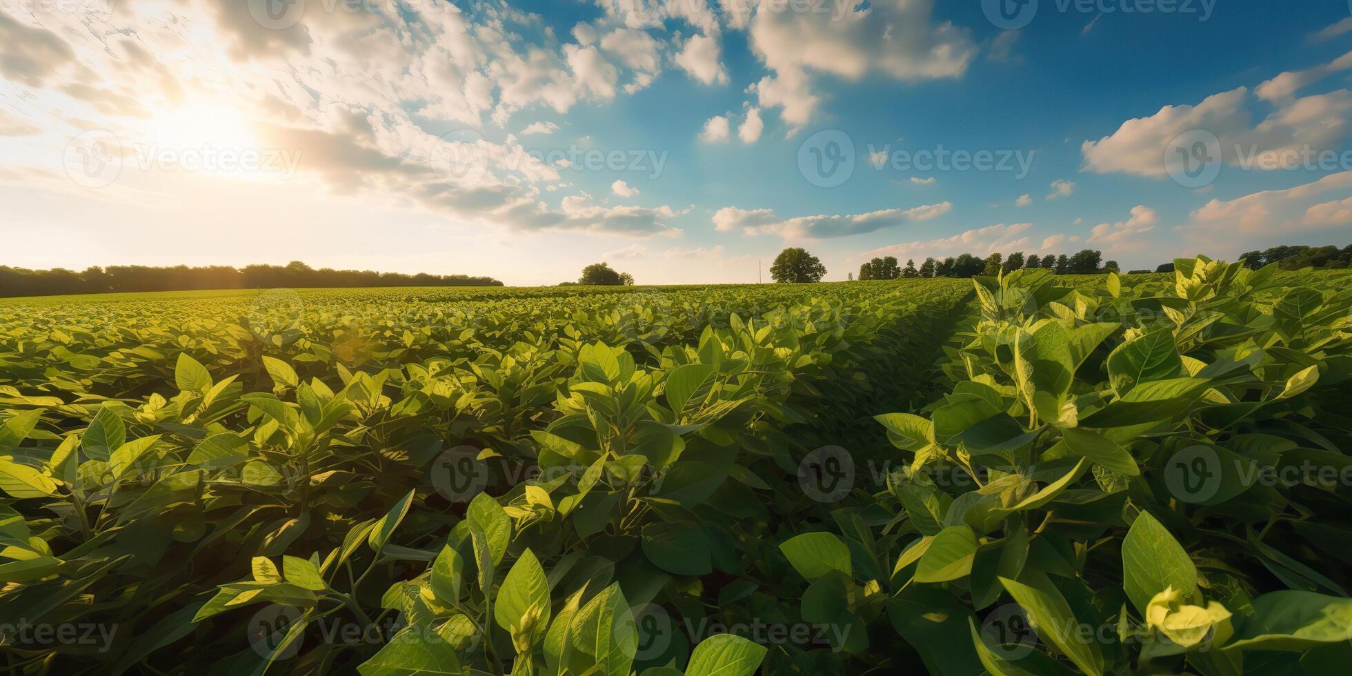 AI Generated. AI Generative. Farm harvest green soybean field. Outdoor nature plant vegetable organic eco product. Graphic Art photo