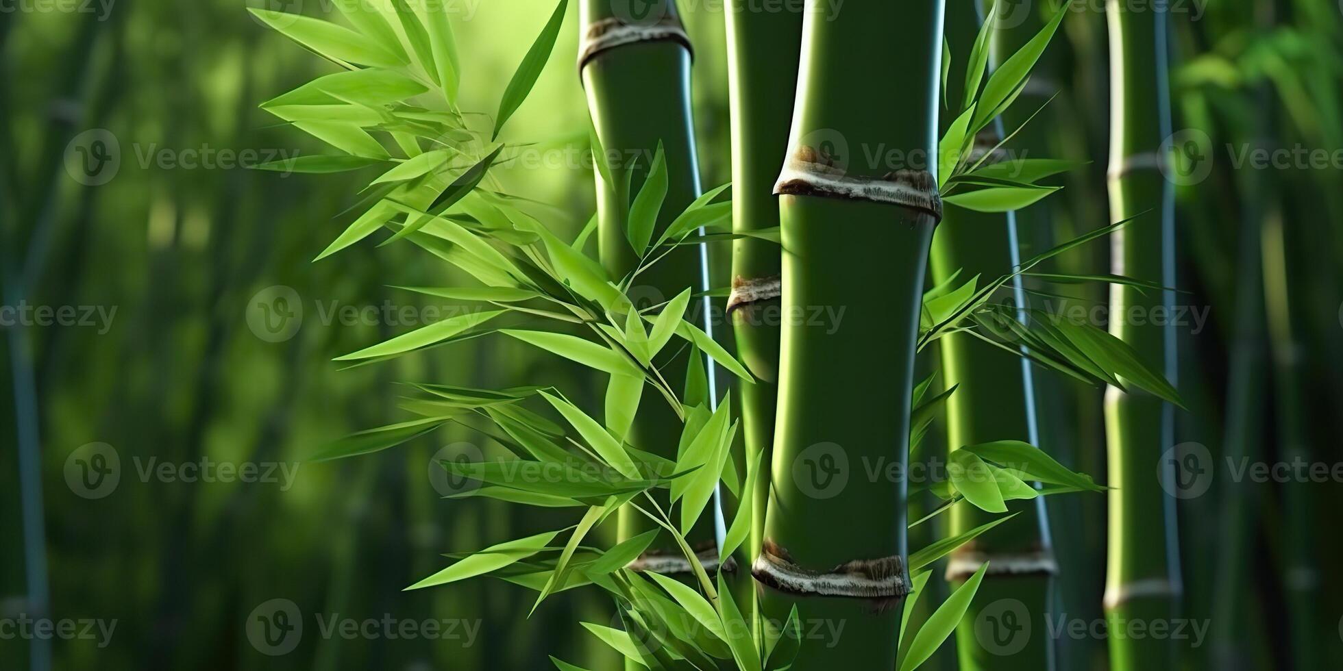 AI Generated. AI Generative. Eco green leaf plant tree bamboo. Asian Japan Chinese culture tradition vibe. Graphic Art photo