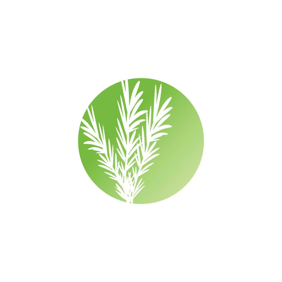 Rosemary  logo vector illustration template business element and symbol design