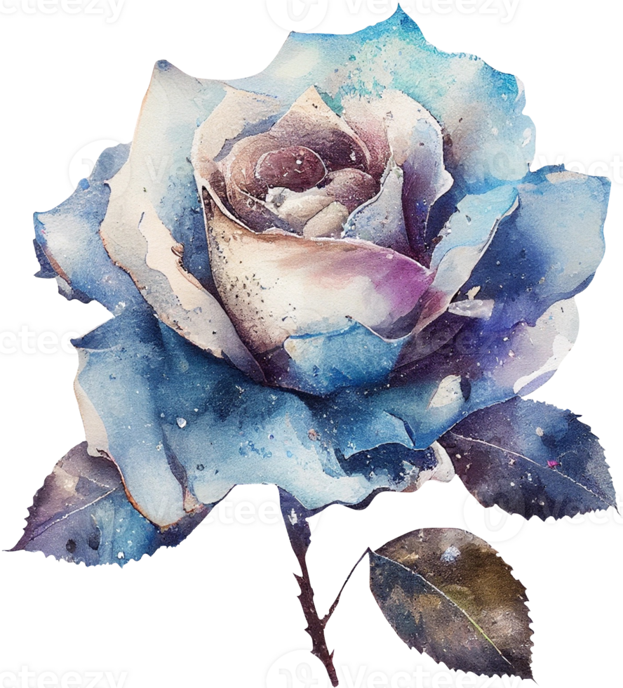 Watercolor floral roses png transparent background AI Generative