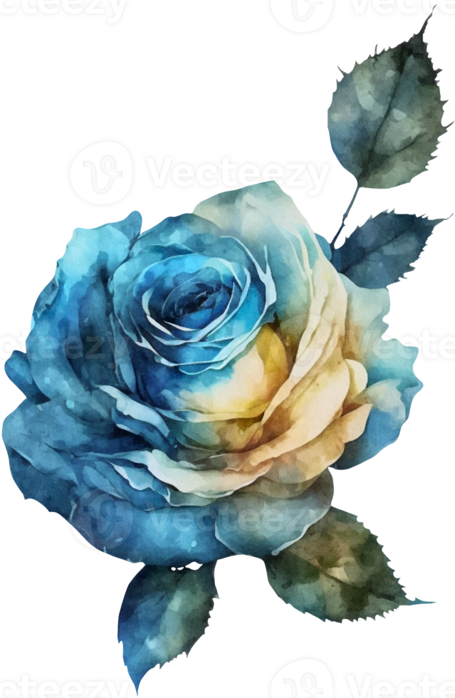 Watercolor floral roses png transparent background AI Generative