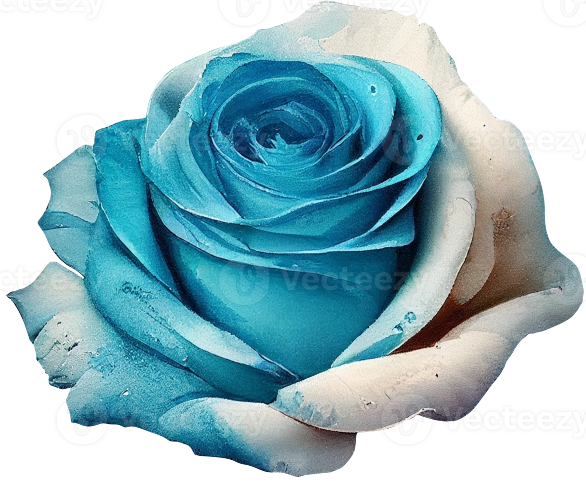 Aquarell Blumen- Rosen png transparent Hintergrund ai generativ