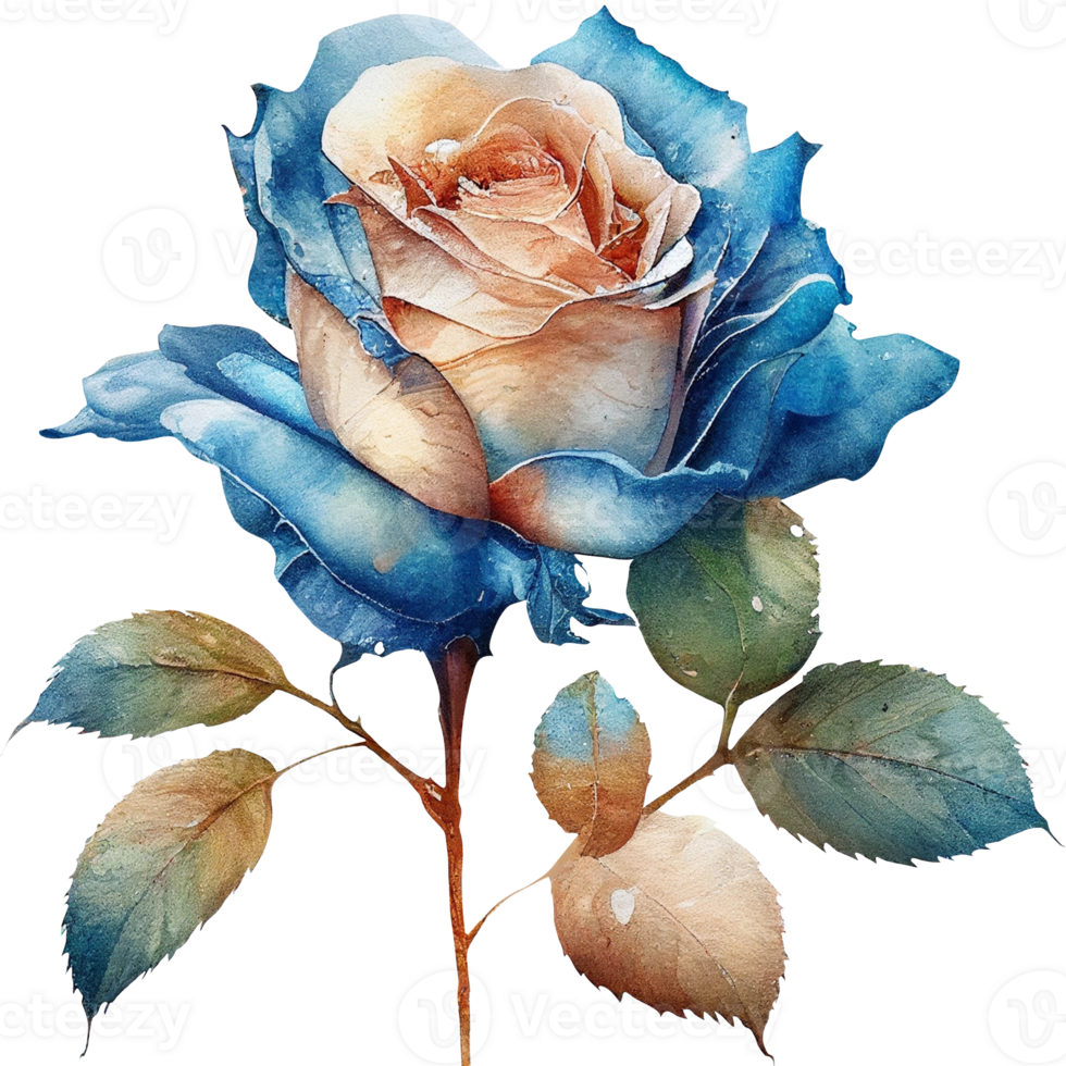 Watercolor floral roses png transparent background AI Generative