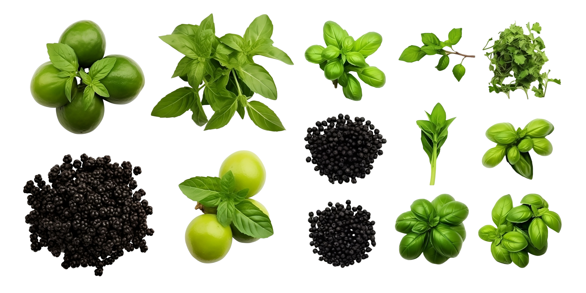 Set of thyme, oregano, basil, green and black pepper fruits Farm